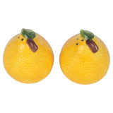 CITRINŲ DRUSKOS, PIPIRŲ INDELIŲ RINKINYS