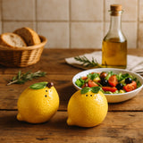 CITRINŲ DRUSKOS, PIPIRŲ INDELIŲ RINKINYS