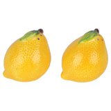 CITRINŲ DRUSKOS, PIPIRŲ INDELIŲ RINKINYS