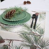 SERVETĖLĖ - PUŠŲ ŠAKELĖS